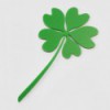 FIVE LEAF CLOVER