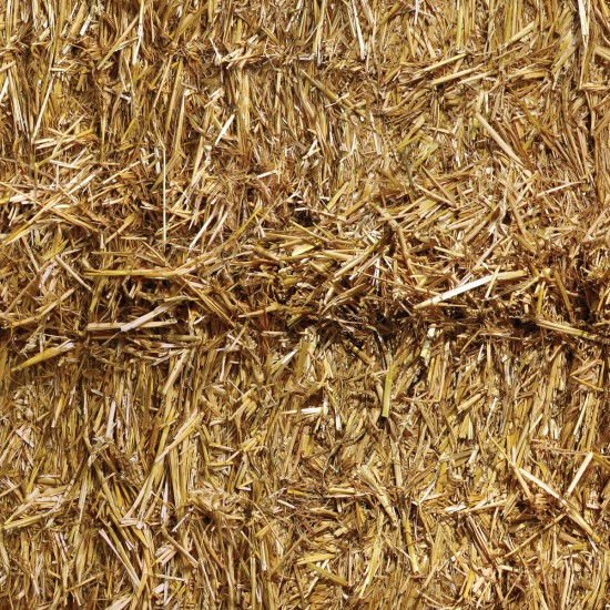 HAY STACK