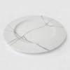 BROKEN PLATE