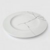 BROKEN PLATE